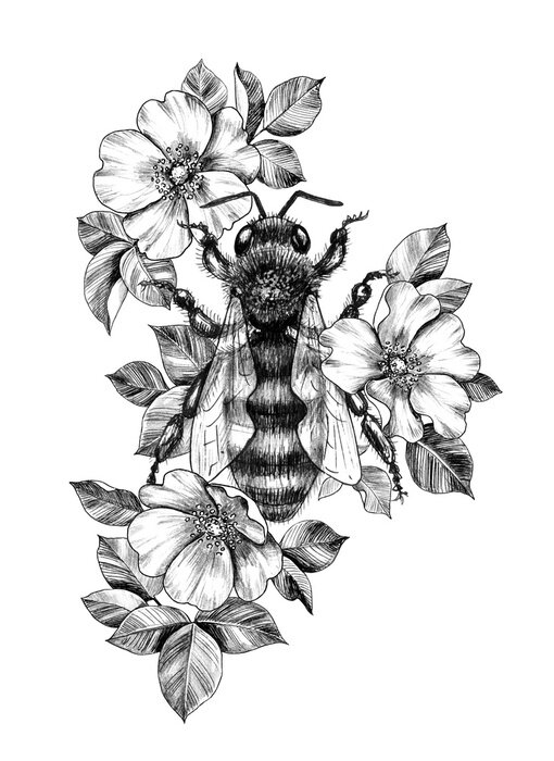 Poster  Abeille noire et blanche sur des fleurs de roses sauvages