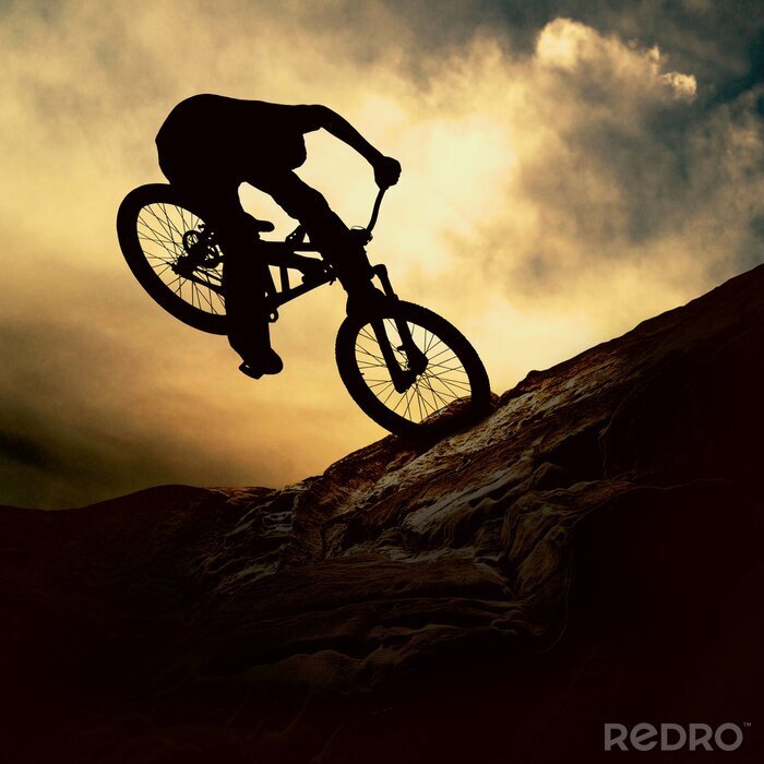 Poster  Acrobaties sur vélo tout terrain