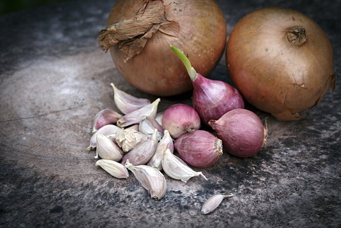 Poster  Ail et oignons