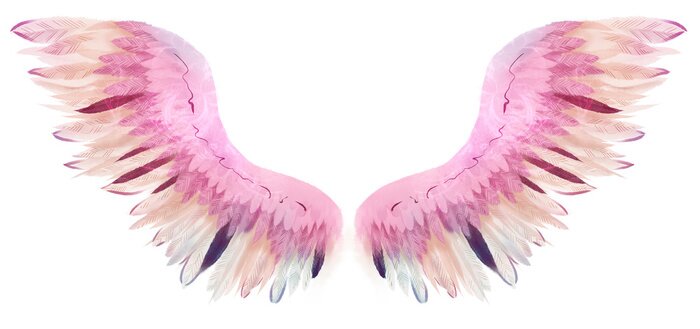 Poster  Ailes aquarelles avec plumes roses et beiges