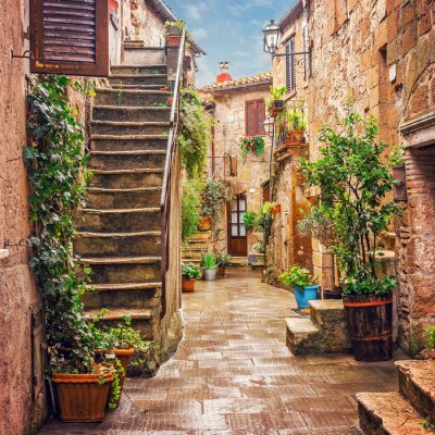 Poster  Alley dans la vieille ville Pitigliano Toscane Italie