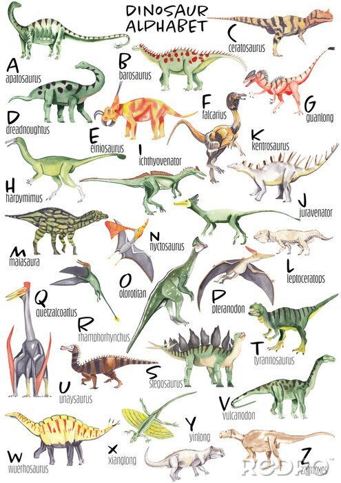 Poster  Alphabet dinosaure version aquarelle