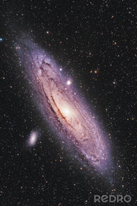 Poster  Andromeda Galaxy