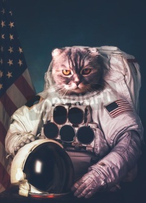 Poster  Animal chat astronaute