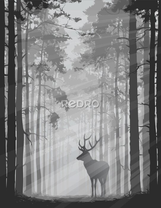 Poster  Animal sauvage dans une forêt monochrome