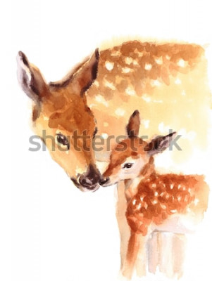 Poster  Animaux cerfs sur fond clair