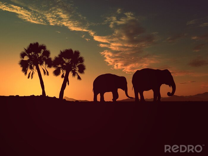Poster  Animaux d'éléphants d'Afrique au coucher du soleil