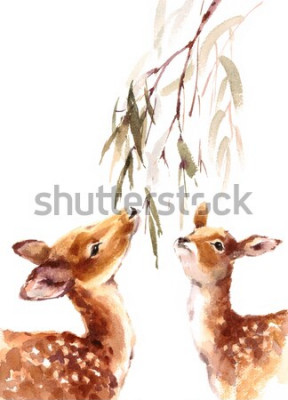 Poster  Animaux de la forêt de cerfs