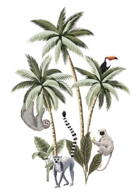 Poster  Animaux de la jungle isolés sur fond blanc