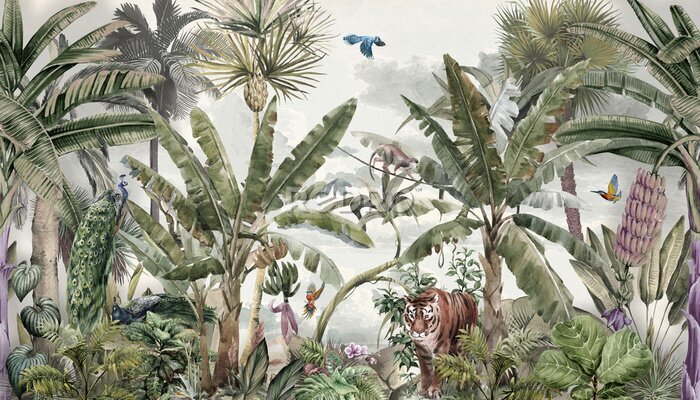 Poster  Animaux et oiseaux de la jungle tropicale