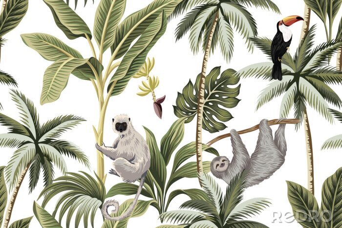 Poster  Animaux exotiques assis sur des palmiers