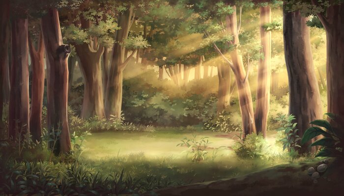 Poster  Anime et forêt illuminée