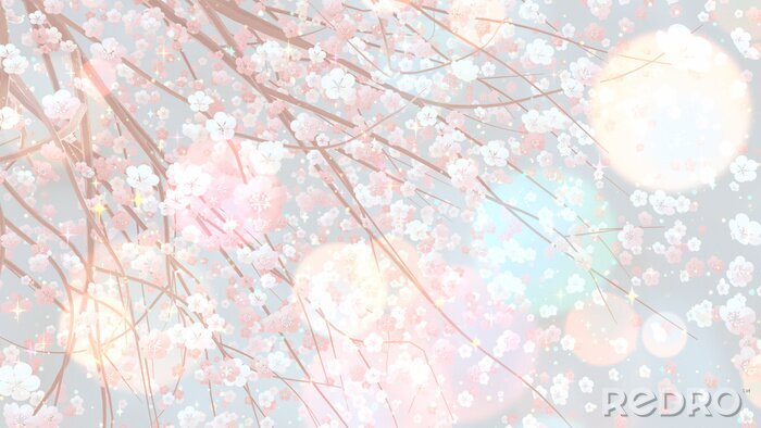 Poster  Anime fleurs de cerisier