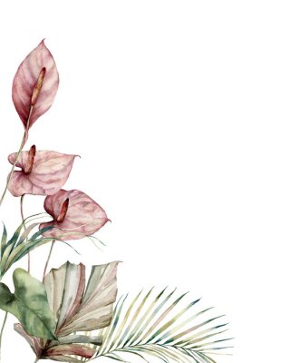 Poster  Anthurium aquarelle à fleurs roses