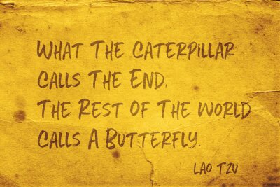 appelle un papillon Lao Tzu