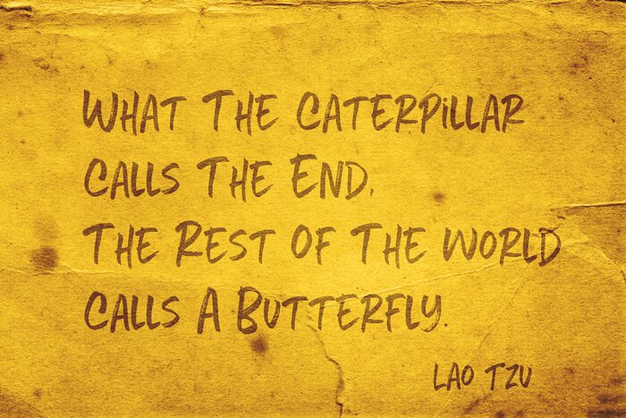 Poster  appelle un papillon Lao Tzu