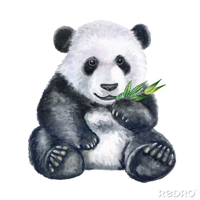Poster  Aquarelle de branche de panda et de bambou