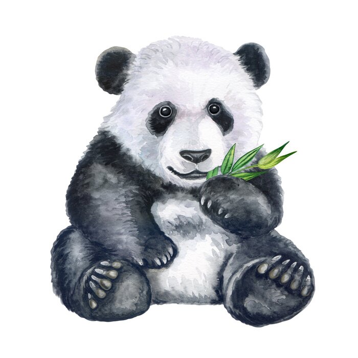 Poster  Aquarelle de branche de panda et de bambou