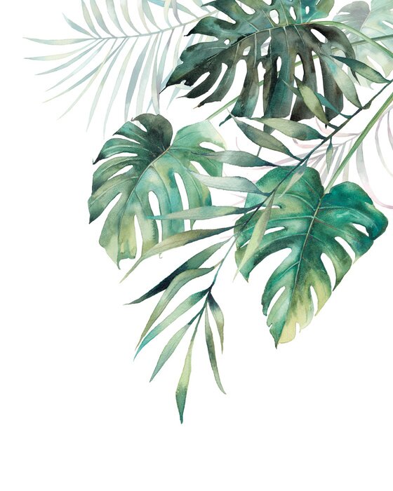 Poster  Aquarelle de feuilles exotiques