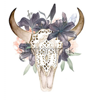 Poster  Aquarelle isolée tête de taureau avec des fleurs et des plumes sur fond blanc. Style boho. Crâne d'ornement sur fond noir, papier peint, t-shirts, textile, affiches, cartes,