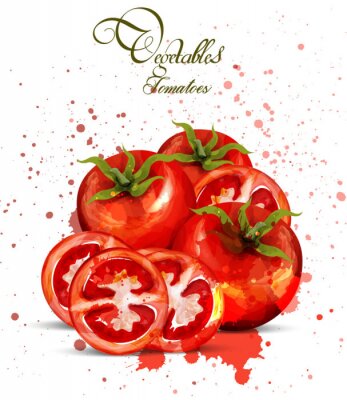 Poster  Aquarelle vecteur de tomates. Design délicieux avec des taches colorées à la main