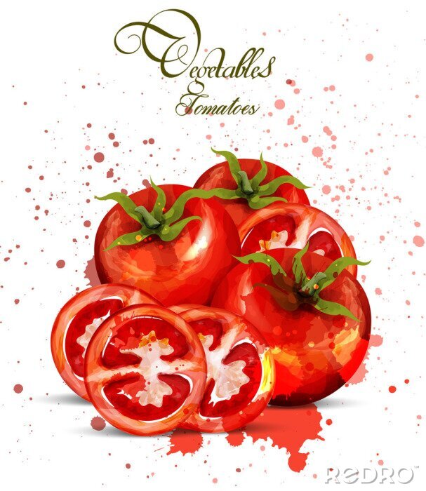 Poster  Aquarelle vecteur de tomates. Design délicieux avec des taches colorées à la main