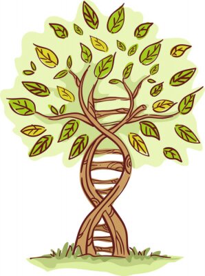 Poster  Arbre construit à partir d'une chaîne d'ADN