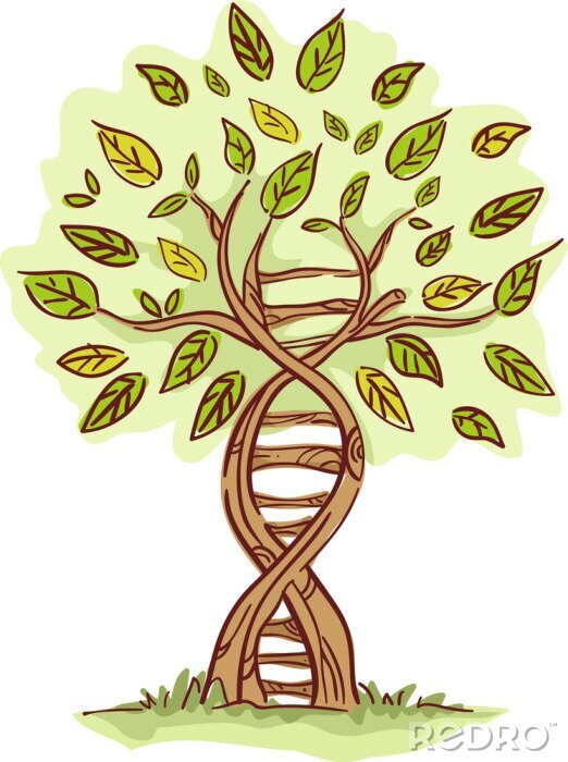 Poster  Arbre construit à partir d'une chaîne d'ADN