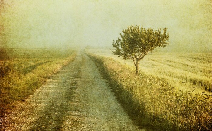 Poster  Arbre dans un champ vintage