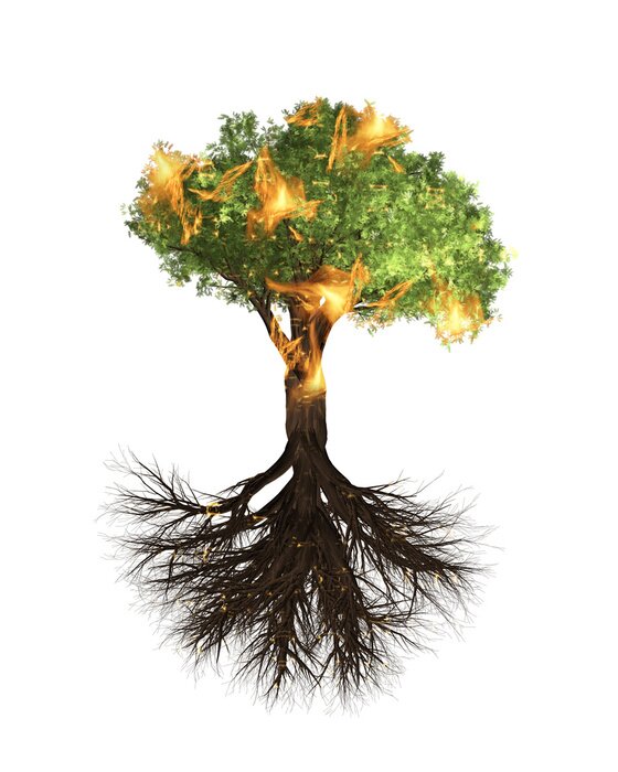 Poster  Arbre enflammé sur fond blanc