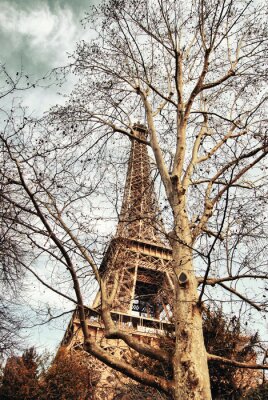 Arbre et Tour Eiffel