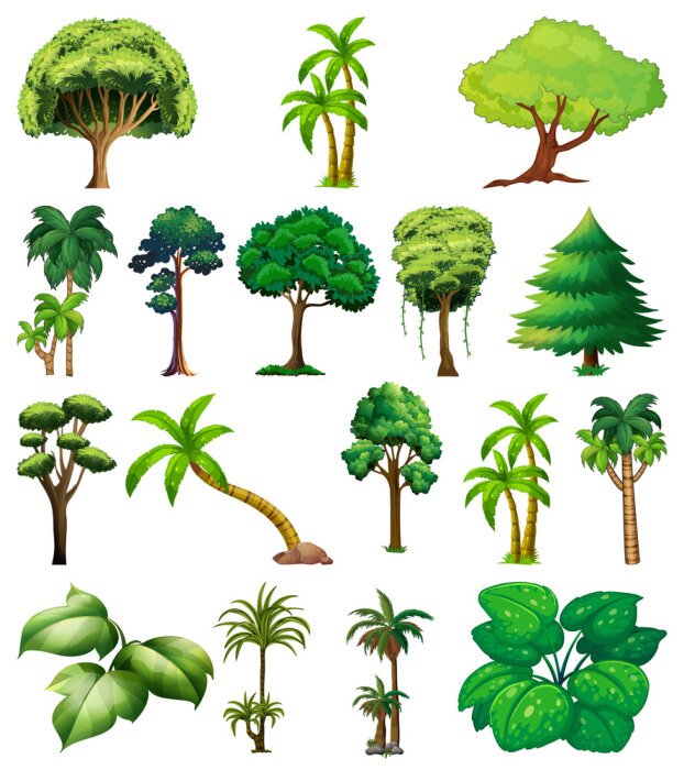 Poster  Arbres et plantes sur fond blanc