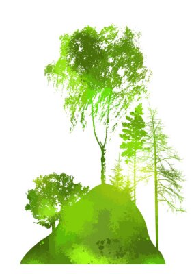 Poster  Arbres verts de différentes espèces sur une colline
