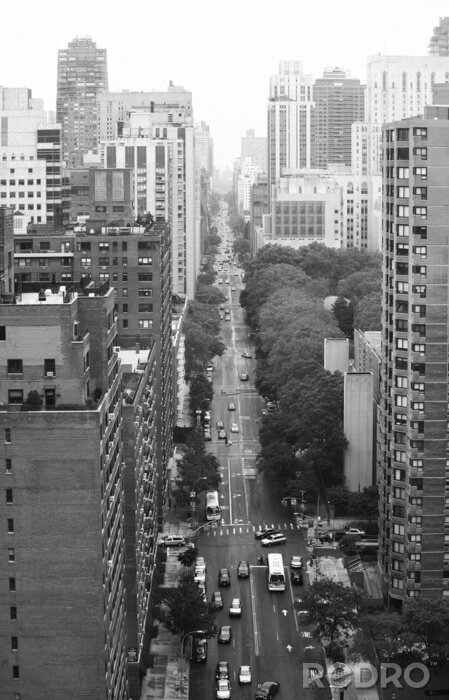 Poster  Artères en noir et blanc à New York
