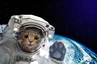 Poster  Astronaute de chat dans l'espace sur fond du globe. Éléments de cette image fournis par la NASA.