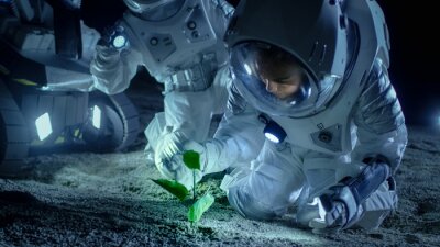 Astronautes avec une plante