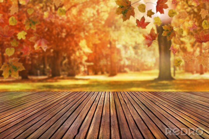 Poster  Atterrissage en bois avec fond d'automne