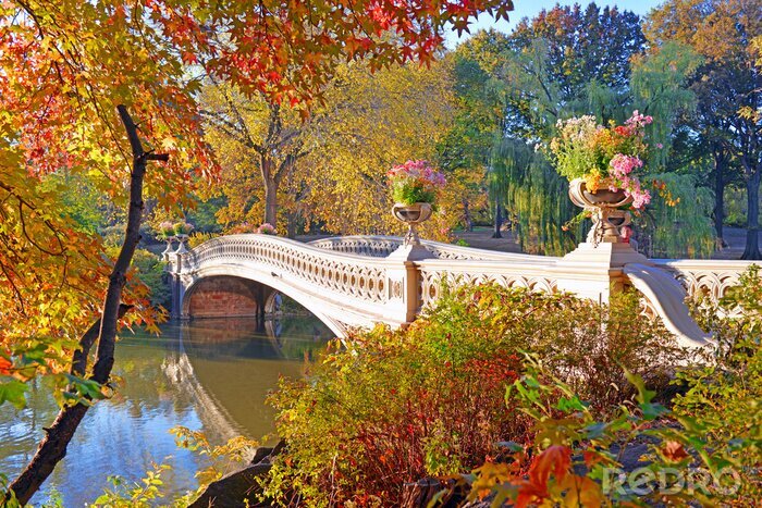 Poster  Autumn Colors - feuillage d'automne dans le Central Park, Manhattan, New York
