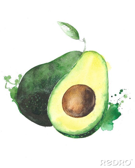 Poster  Avocat, fruit, aquarelle, nourriture, Illustration, isolé, blanc, fond