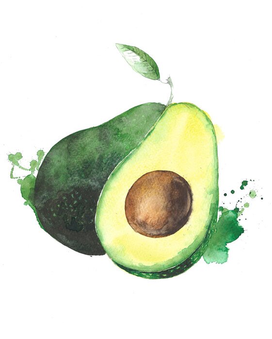 Poster  Avocat, fruit, aquarelle, nourriture, Illustration, isolé, blanc, fond