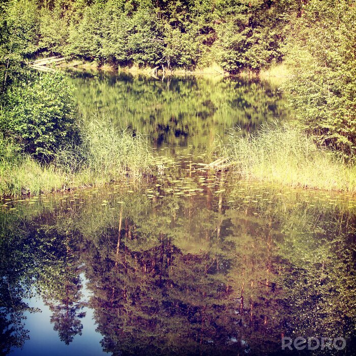 Poster  background-9