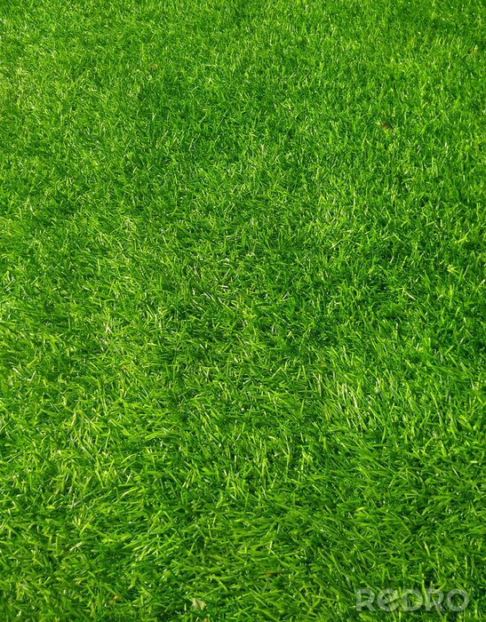 Poster  background of green grass