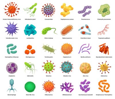 Poster  Bacteria and virus icons. Disease-causing bacterias, viruses and microbes. Color germs, bacterium types vector illustration set. Coronavirus and bacterium, pathogen hepatovirus and zika