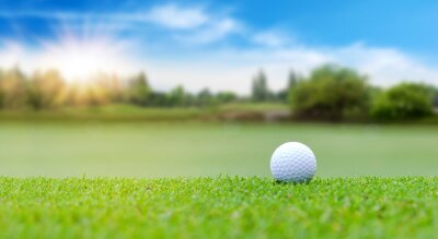 Poster  Balle de golf blanche sur parcours vert à viser sur le magnifique paysage flou du parcours de golf par temps clair avec espace de copie. Sport, loisirs, repos dans le concept de vacances