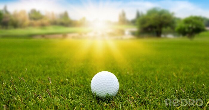 Poster  Balle de golf sur l'herbe verte sur beau paysage flou du parcours de golf avec lever du soleil, heure du coucher du soleil sur fond.