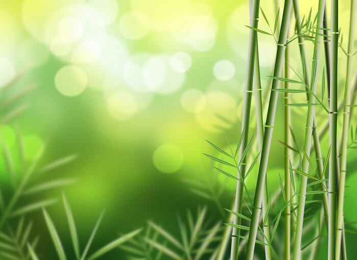 Poster  Bambou 3D avec feuilles