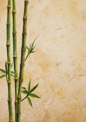 Poster  Bambou avec trois branches de feuilles