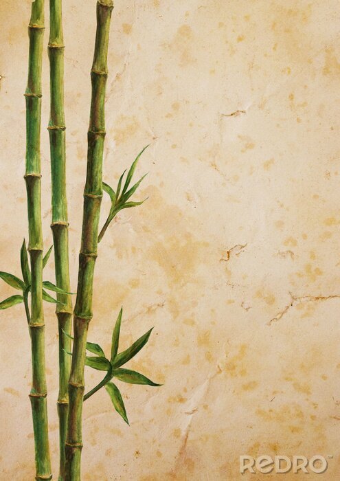 Poster  Bambou avec trois branches de feuilles