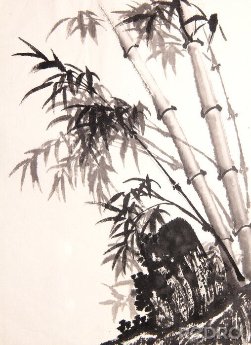Poster  Bambou clair avec des branches sombres