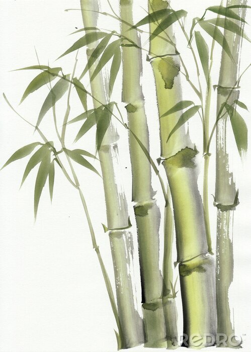 Poster  Bambou dans des teintes de vert étouffé